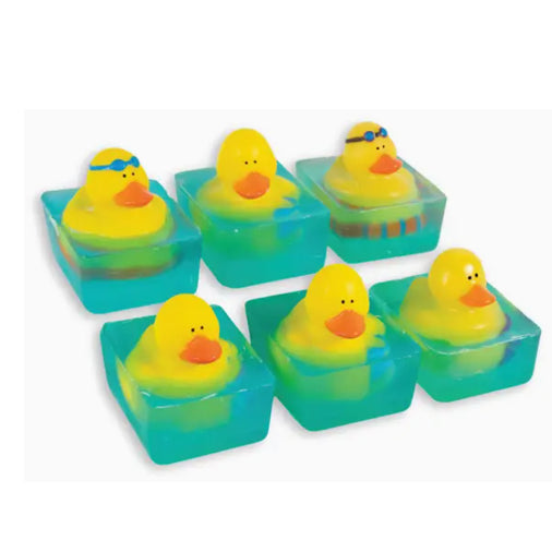 Rubber Ducky Soap, assorted