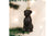 Old World Christmas - Black Labrador Ornament