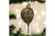 Old World Christmas - Horseshoe Crab Ornament