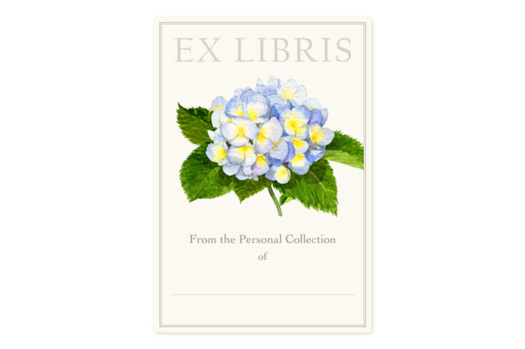 Felix Doolittle - Bookplates - Early Hydrangea