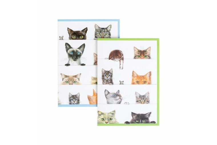 Kitties Boxed Note Cards
