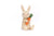 JellyCat - Bonnie Bunny with Carrot