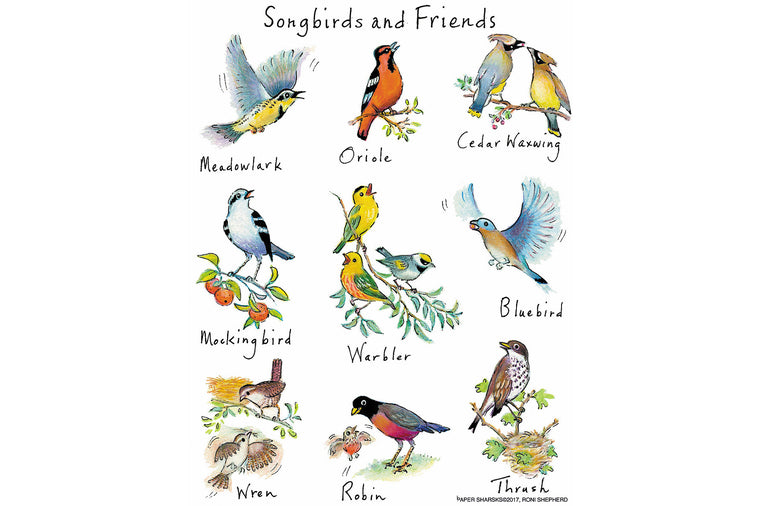 Songbirds and Friends Flour Sack Towel