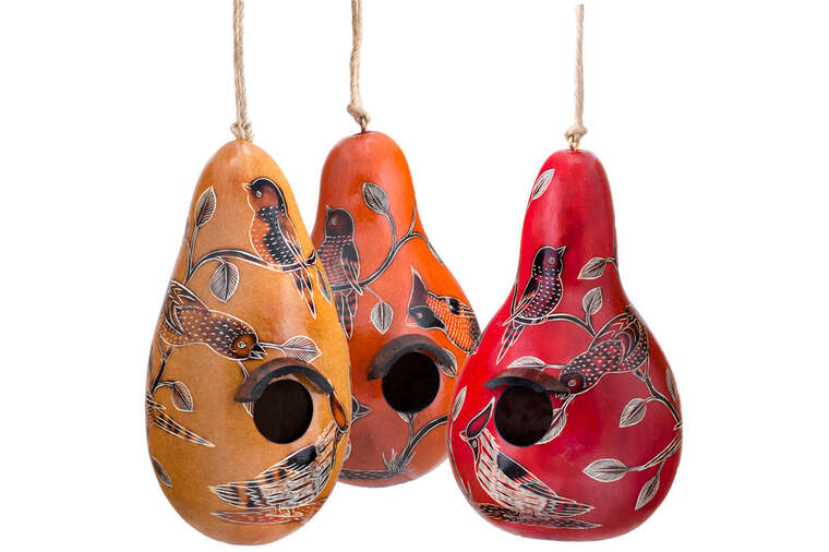 Birds of North America Gourd Birdhouse