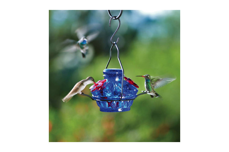 Par-a-Sol - Pot de Creme Hummingbird Feeder - Moon and Stars