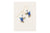 Holly Yashi - Picaflor Earrings - Blue Radiance