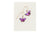 Holly Yashi - Petite Bella Butterfly Earrings - Ultra Violet