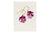 Holly Yashi - Garden Pansy Drop Earrings - Sparkling Fuchsia