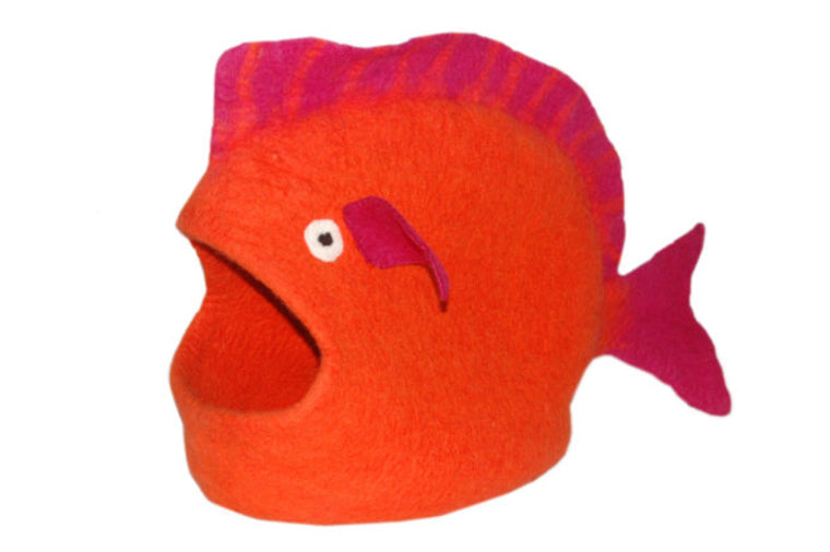 Cat Fish Cave - Orange
