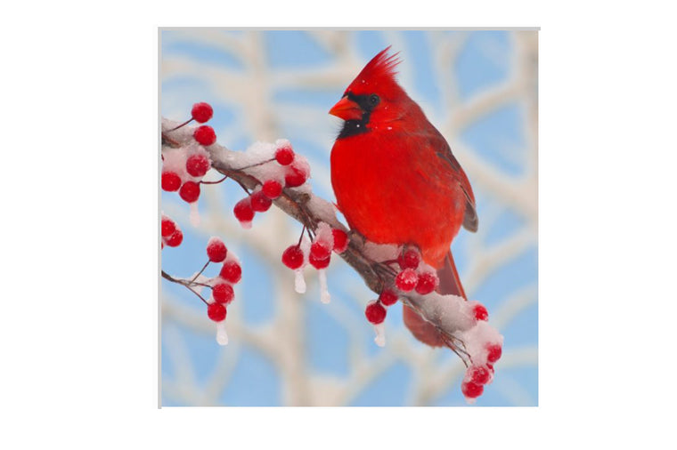 Winter Cardinal Small Zen Puzzle