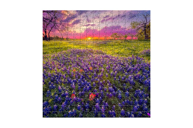 Zen Art - Bluebonnets Large Puzzle